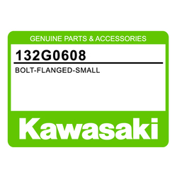 Śruba mocowania przedniej zębatki Kawasaki EL 250 ER6 GPZ 500 KLE 500